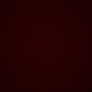 Meet your Posher, Phoebe